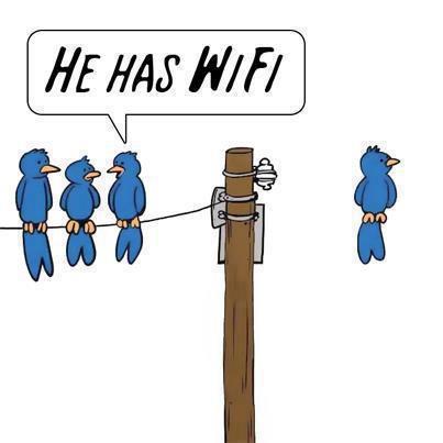 Wi Fi